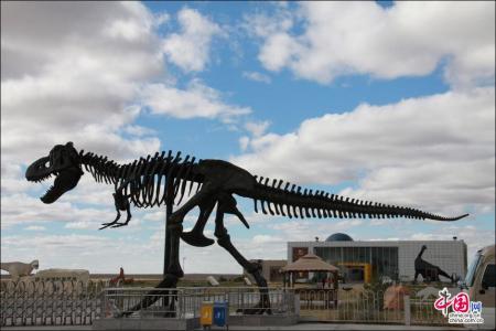 内蒙古发现的恐龙 内蒙古恐龙之乡