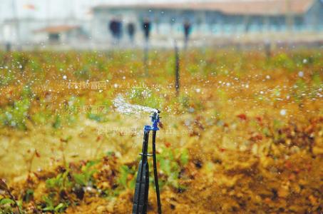 灌溉一亩地需要多少水 女人是水做的需要灌溉