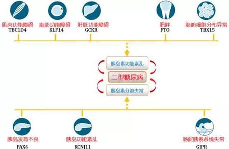 糖尿病的诱发因素 诱发糖尿病的因素详解