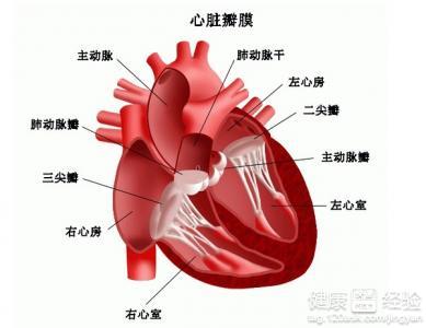 后天心脏病的早期症状 后天心脏病怎么形成的