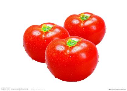 西红柿的来源 源自一块西红柿的爱