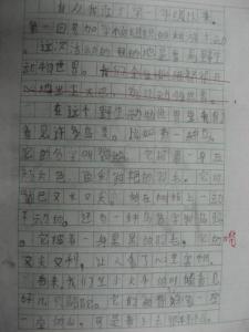 关于秋游的作文 关于秋游的作文大全