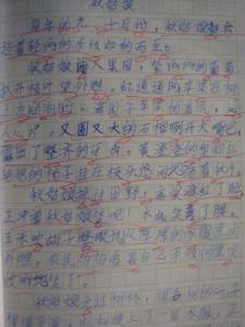 证婚词八篇 二年级作文：这里真美200字 八篇