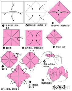 莲花的折纸方法简单 荷花的折纸方法