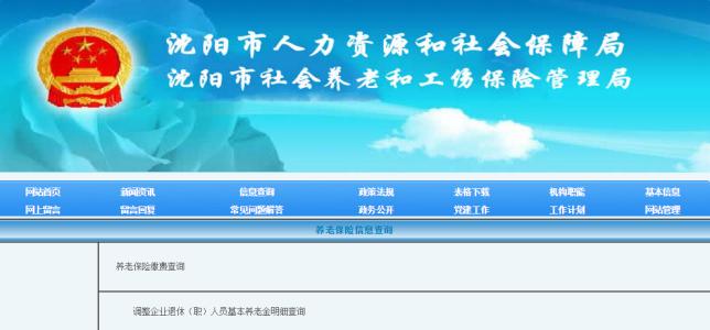 沈阳个人医保查询 沈阳个人养老保险查询