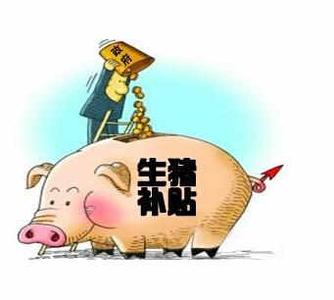 2017农村喂猪新政策 2017农村养猪政策