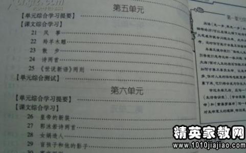 小学语文教学心得体会 语文教师教学心得体会