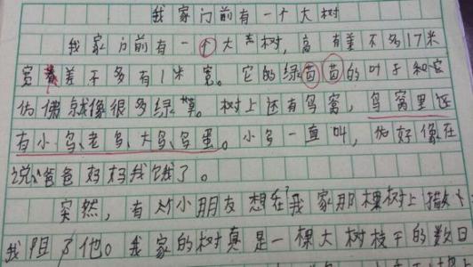 你在我心中作文1300 我也是个孩子的作文1300字