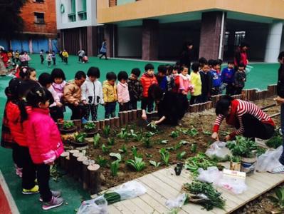 2016年植树节活动方案 2016机关幼儿园植树节活动方案