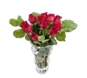 小盆玫瑰花的养殖方法 玫瑰花要怎么养