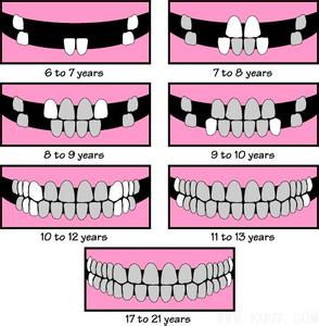 儿童换牙时间和顺序 儿童换牙的时间与顺序