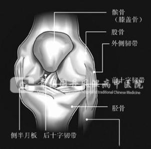 中医治疗膝关节炎 中医如何治疗膝关节炎