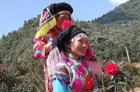 彝族的生活习俗 彝族的饮茶生活