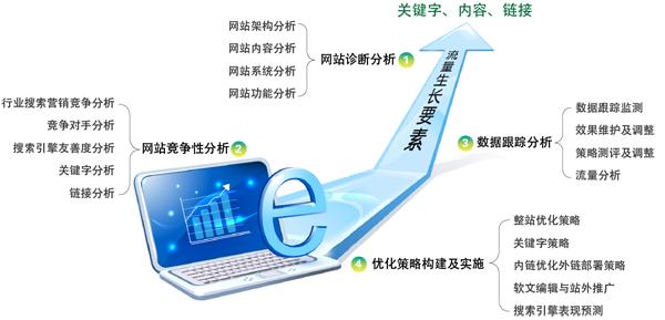 seo解决方案 大型网站或者机构的seo解决方案