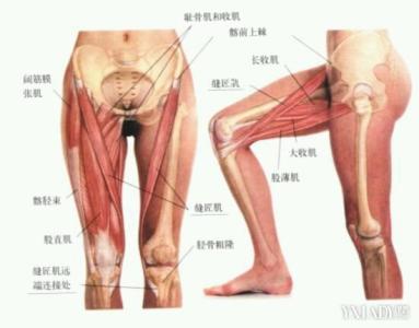 大腿肌肉痛怎么缓解 大腿肌肉痛怎么回事