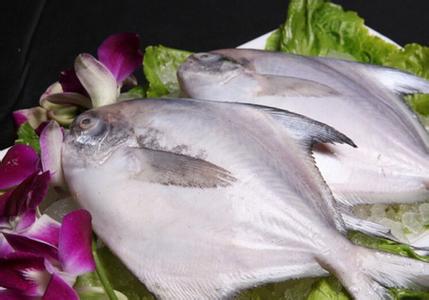平鱼营养价值 平鱼的营养价值_吃平鱼的好处