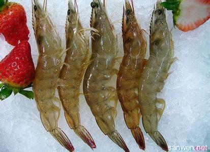 长毛对虾的食用方法 对虾怎么养 对虾食用须知