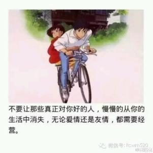 无论是友情还是爱情 无论爱情还是友情，都需要经营