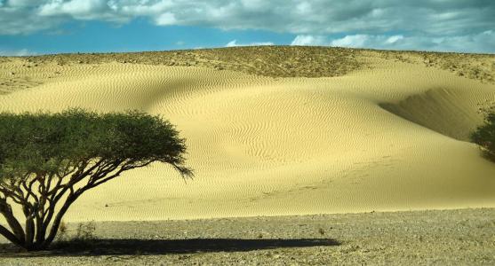 沙漠是怎么形成的 沙漠形成的自然原因