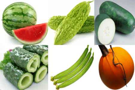 夏季吃什么蔬菜好 夏季吃什么蔬菜好 夏季吃的蔬菜