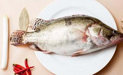 夏季安全生产注意事项 夏季吃鱼有什么注意事项
