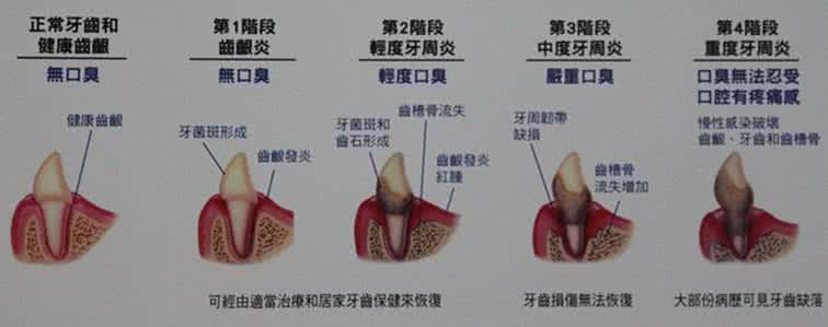 关于宠物狗的常识 宠物常识