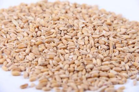 浮小麦和红枣的功效是 浮小麦和小麦的区别