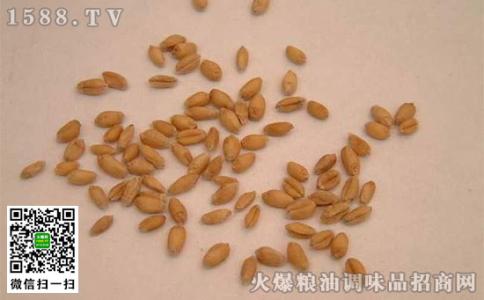甘麦大枣汤用什么小麦 淮小麦与浮小麦的区别