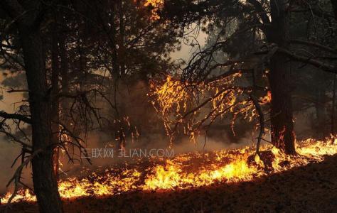危险化学品火灾扑救 扑救森林火灾危险的林火环境