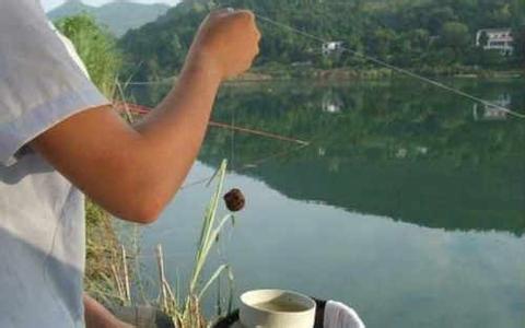 传统钓鱼技巧 传统钓的八大技巧