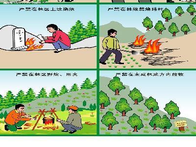 爱护森林严防火灾 爱护森林预防火灾作文 关于森林防火作文