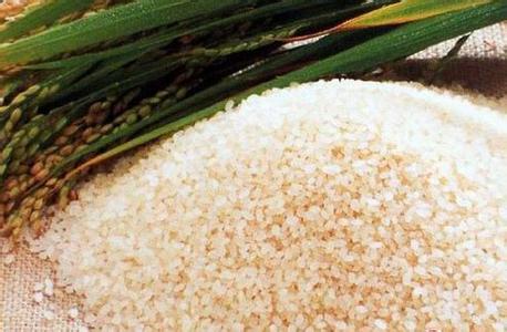 怎样预防大米生虫子 如何防止大米生虫