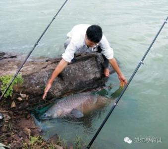 星露谷物语钓鱼技巧 钓鱼抄鱼八点技巧