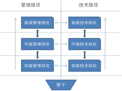 职业发展方向 解读不同的职业发展方向带来的不同结果