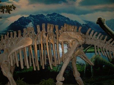 禄丰恐龙博物馆 禄丰恐龙博物馆的景点介绍