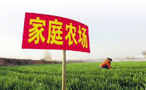 2017年家庭农场补贴 2017家庭农场补贴政策