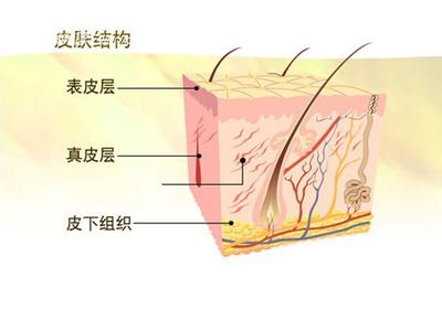 循序渐进 去角质循序渐进