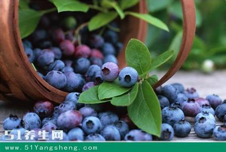 蓝莓的营养价值 蓝莓的营养价值高