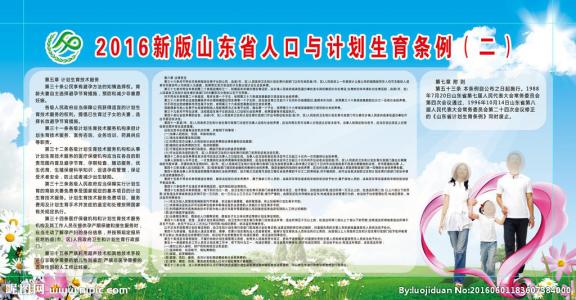 广西壮族自治区2017年 2016-2017年广西壮族自治区人口和计划生育条例
