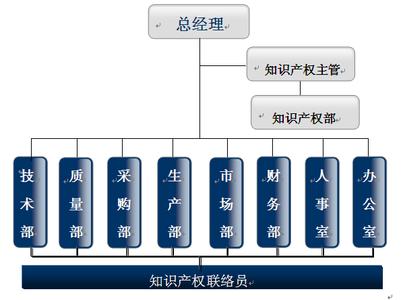 企业知识产权管理规范 企业知识产权管理