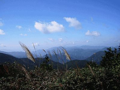 庆元县百山祖 庆元县百山祖国家级自然公园