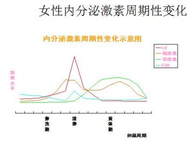 女性激素分泌周期图 女性激素分泌周期