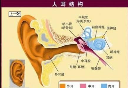 耳鸣最佳治疗方法 耳鸣是怎样形成的 耳鸣的治疗方法