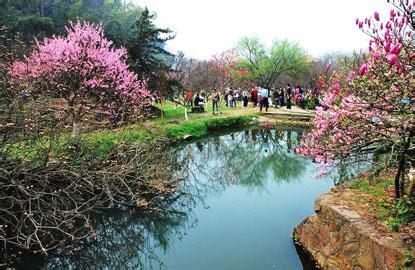 2017常德桃花源桃花节 常德桃花源