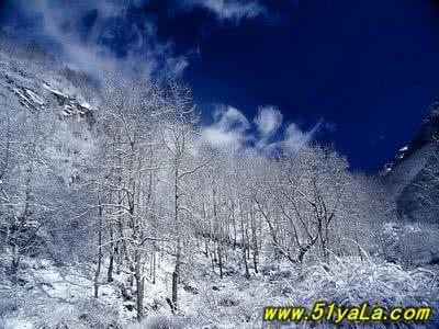 北京赏雪 北京赏雪地点推荐