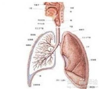 如何防治慢性支气管炎 气管炎形成的原因 气管炎如何防治