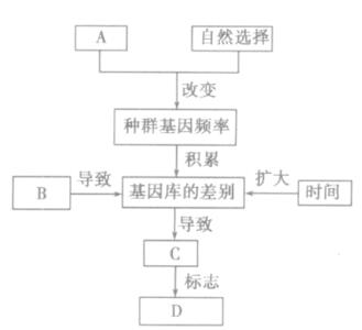 没有生殖隔离的物种 生殖隔离是新物种形成的必要条件