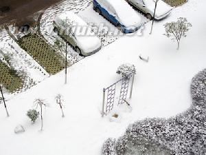 巫山县林场雪灾原因 雪灾的形成原因