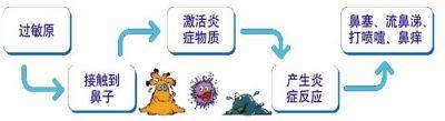 中医认为肿块形成机制 中医认为过敏性鼻炎形成的原因(2)