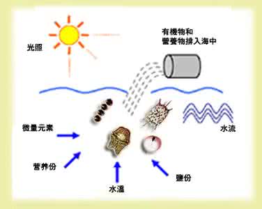 水华和赤潮 赤潮是如何形成的